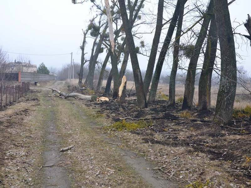 Damage to greenery