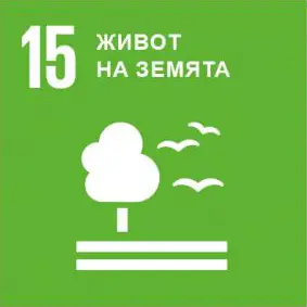 Живот на сушата