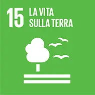 Vita sulla terra