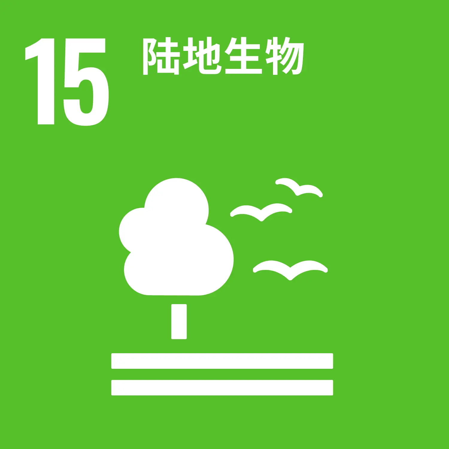 陆地生活